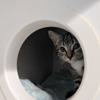 Photo of Cleo