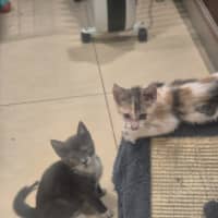 Photo of Hazel And Cloud