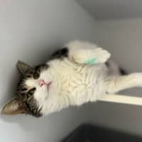 Photo of Flip Flop