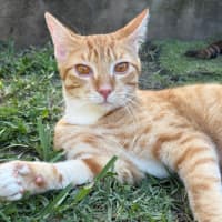 Photo of Sunny