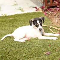 Photo of Jive