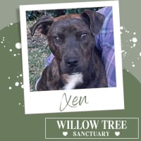 Photo of Xen