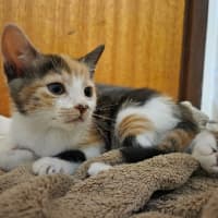 Photo of Sophie