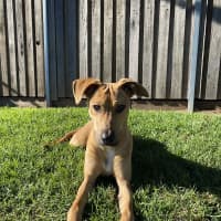 Photo of Kylo