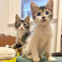 Photo of Maya And Lotti