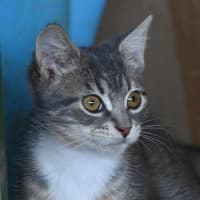 Photo of Timmy