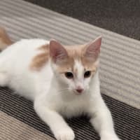 Photo of Evan & Evie