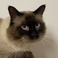 Photo of Furrcules