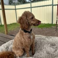 Photo of Charlie