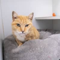 Photo of Mum