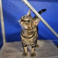 Photo of Charlie