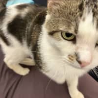 Photo of Mr Worldwide