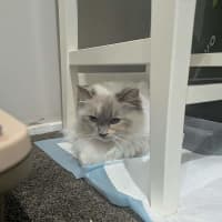 Photo of Betty