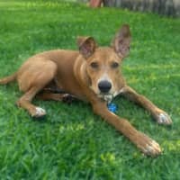 Photo of Rolly