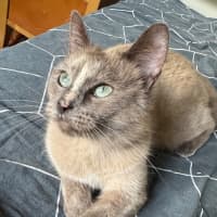 Photo of Bluebelle 