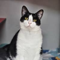Photo of Luna