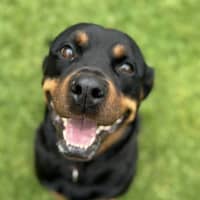 Photo of Meekah 