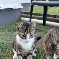 Photo of Apollo And Artemis