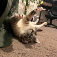 Photo of Gus