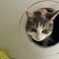 Photo of Chloe