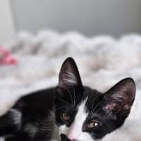Photo of Jacob