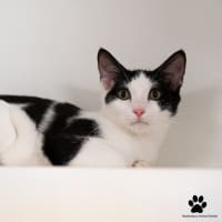 Photo of Clint