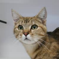 Photo of Shelby Sua013311