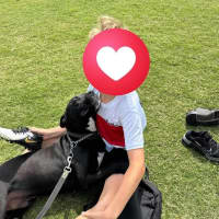 Photo of Boof