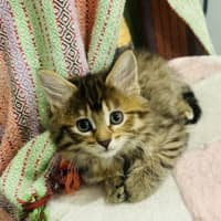 Photo of Cinnamon & Nutmeg