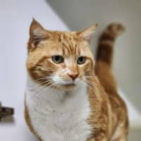 Photo of 🍝 Maccaroni 6402 🍝