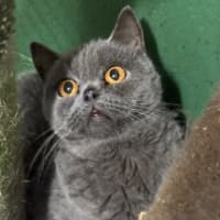 Photo of Fafa And Britt