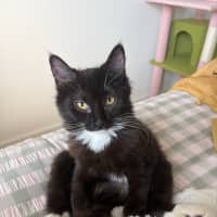 Photo of Buttons