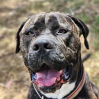 Photo of 🥛 Eggnog 5520 🥛