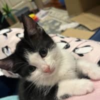 Photo of Maggie