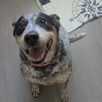 Photo of Maggie