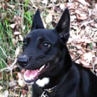 Photo of Sally