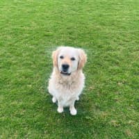 Photo of Digger