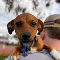 Photo of Happy