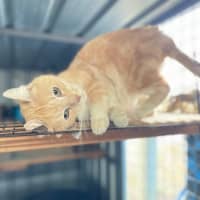 Photo of Squeek