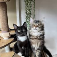 Photo of Jack & Jupiter