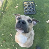 Photo of Zeus