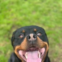Photo of Max