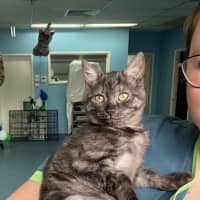 Photo of Mary Kate And Ashley