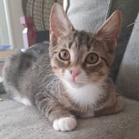 Photo of Marie