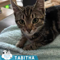 Photo of Tabitha