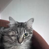 Photo of Moira 