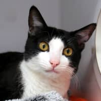 Photo of Jet Rsuk011998