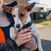 Photo of Nellie