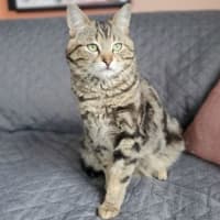 Photo of Mateo