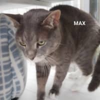 Photo of Max